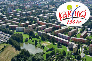 Mizerov_logo.jpg