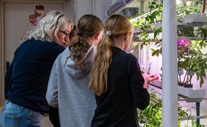 perex - hydroponicka laborator ZS Skolska.jpg