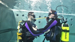 WhatsApp Image 2026-02-22 at 15