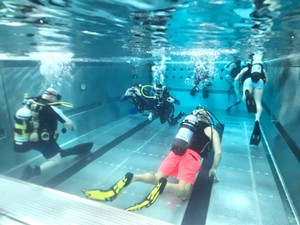 WhatsApp Image 2026-02-22 at 15