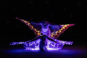 2026 juventus show_320