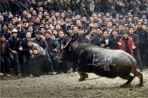 Kaili_6_foto-www.kaili.gov.cn.jpg