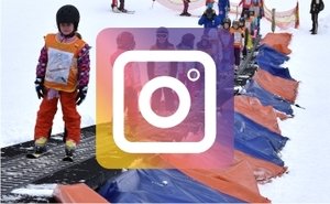 perex_Instagram_ilu.jpg