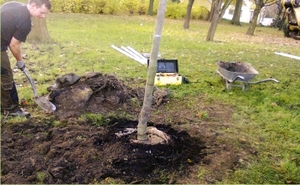 úvodní_snímek_750_sponzor.výsadba_ilu.jpg