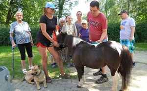 SSK zvířata malá.jpg