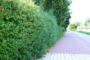 MMK01557.JPG