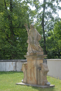 DSC_0706.JPG