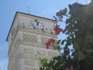 IMG_1781.JPG