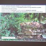 MMK03552