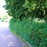 MMK01563.JPG