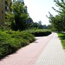 MMK01576.JPG
