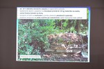 MMK03552