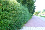 MMK01557.JPG