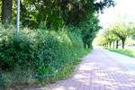 MMK01567.JPG