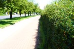 MMK01580.JPG